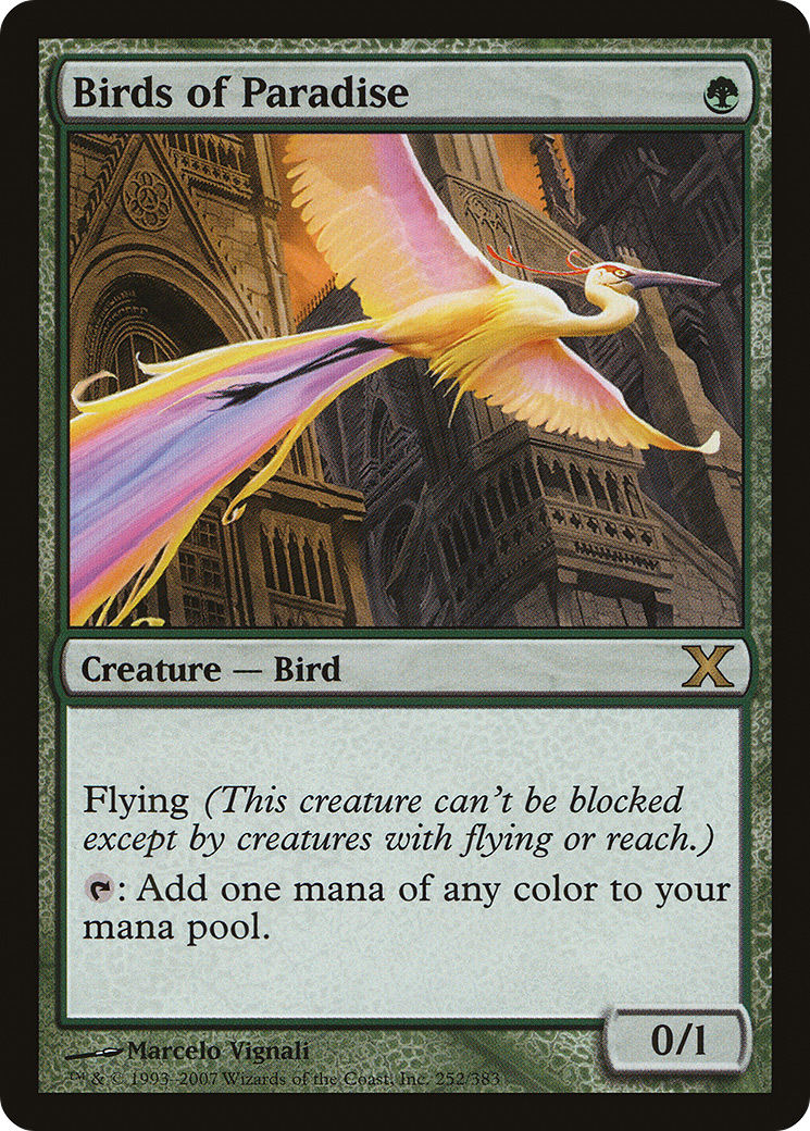 Birds of Paradise (10E-252) - Tenth Edition - Premium MTG Single from Wizards of the Coast - Just $5.85! Shop now at Game Crave Tournament Store