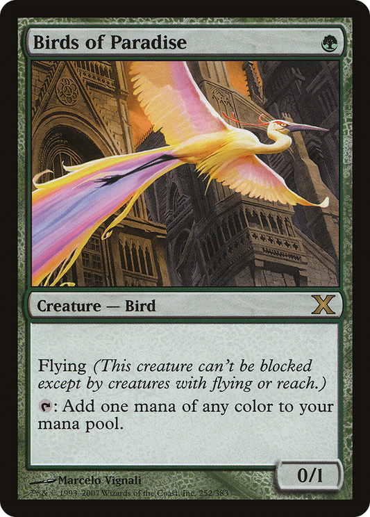 Birds of Paradise (10E-252) - Tenth Edition - Premium MTG Single from Wizards of the Coast - Just $5.85! Shop now at Game Crave Tournament Store
