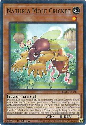 Naturia Mole Cricket (DABL-EN020) - Darkwing Blast 1st Edition - Premium Yugioh Single from Konami - Just $0.25! Shop now at Game Crave Tournament Store