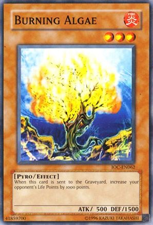 Burning Algae (IOC-EN062) - Invasion of Chaos (Worldwide English) Unlimited - Premium Yugioh Single from Konami - Just $0.70! Shop now at Game Crave Tournament Store