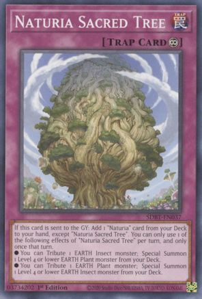 Naturia Sacred Tree (SDBT-EN037) - Structure Deck: Beware of Traptrix 1st Edition - Premium Yugioh Single from Konami - Just $0.25! Shop now at Game Crave Tournament Store