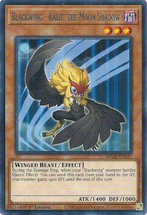 Blackwing - Kalut the Moon Shadow (MAZE-EN037) - Maze of Memories 1st Edition - Premium Yugioh Single from Konami - Just $0.25! Shop now at Game Crave Tournament Store