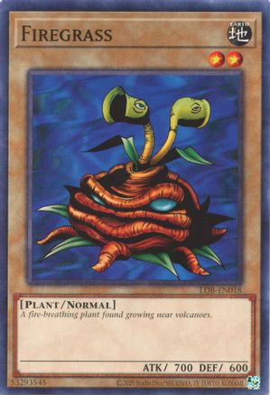 Firegrass (LOB-EN018) - Legend of Blue Eyes White Dragon (25th Anniversary Edition) Unlimited - Premium Yugioh Single from Konami - Just $0.25! Shop now at Game Crave Tournament Store