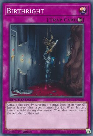 Birthright (SBC1-ENG18) - Speed Duel: Streets of Battle City 1st Edition - Premium Yugioh Single from Konami - Just $0.08! Shop now at Game Crave Tournament Store