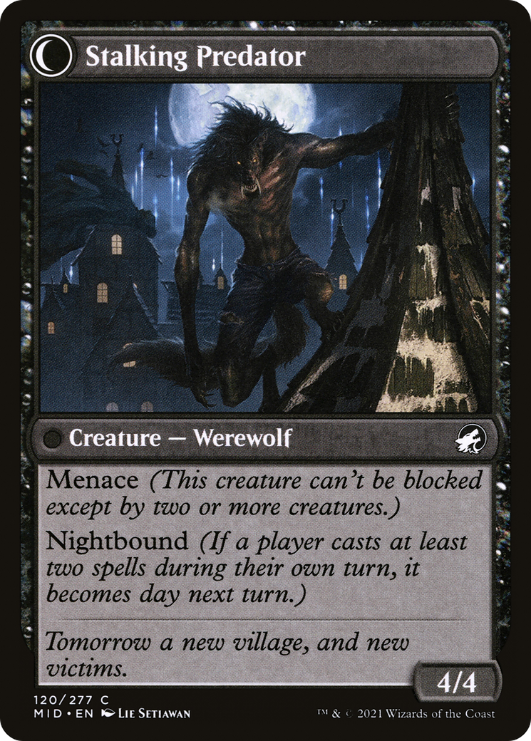 Shady Traveler // Stalking Predator (MID-120) - Innistrad: Midnight Hunt: (Double Faced Transform) - Premium MTG Single from Wizards of the Coast - Just $0.08! Shop now at Game Crave Tournament Store