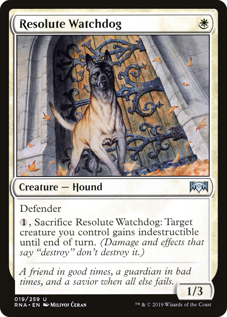 Resolute Watchdog (RNA-019) - Ravnica Allegiance Foil - Premium MTG Single from Wizards of the Coast - Just $0.97! Shop now at Game Crave Tournament Store