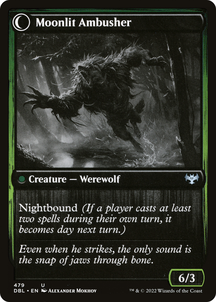Oakshade Stalker // Moonlit Ambusher (DBL-479) - Innistrad: Double Feature: (Double Faced Transform) Foil - Premium MTG Single from Wizards of the Coast - Just $0.17! Shop now at Game Crave Tournament Store