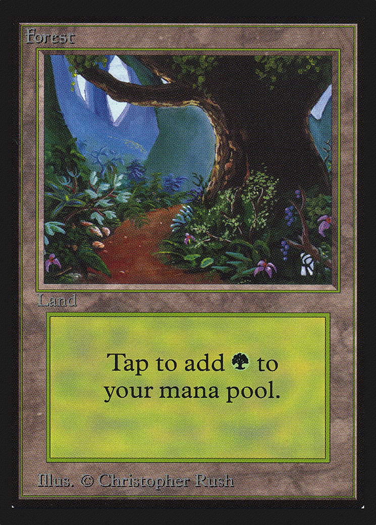 Forest (CEI-301) - Intl. Collectors' Edition - Premium MTG Single from Wizards of the Coast - Just $1.81! Shop now at Game Crave Tournament Store