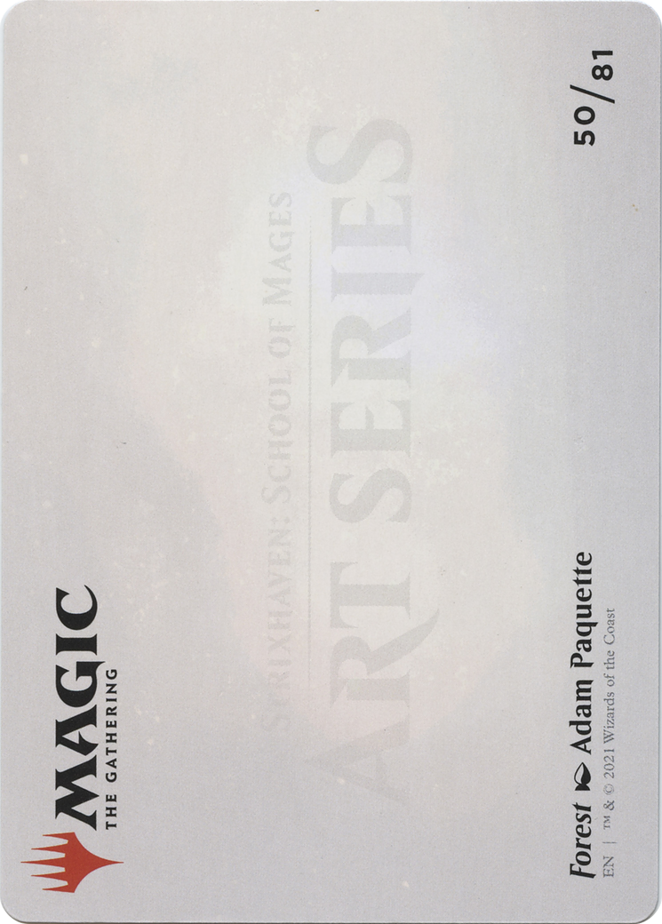 Forest // Forest (ASTX-050) - Strixhaven Art Series (Borderless) Foil - Premium MTG Single from Wizards of the Coast - Just $0! Shop now at Game Crave Tournament Store