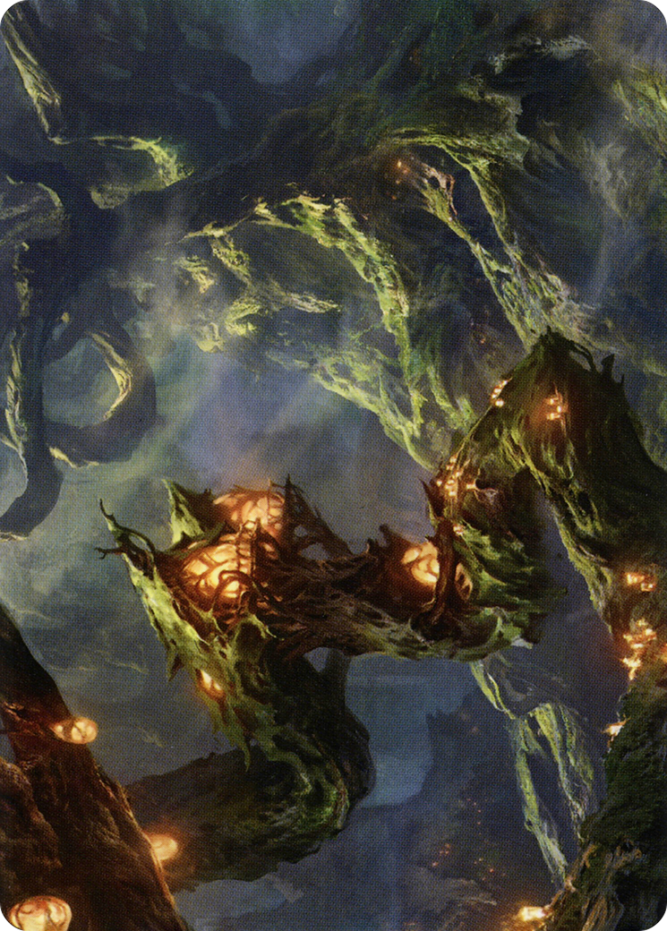 Forest // Forest (ASTX-050) - Strixhaven Art Series (Borderless) Foil - Premium MTG Single from Wizards of the Coast - Just $0! Shop now at Game Crave Tournament Store
