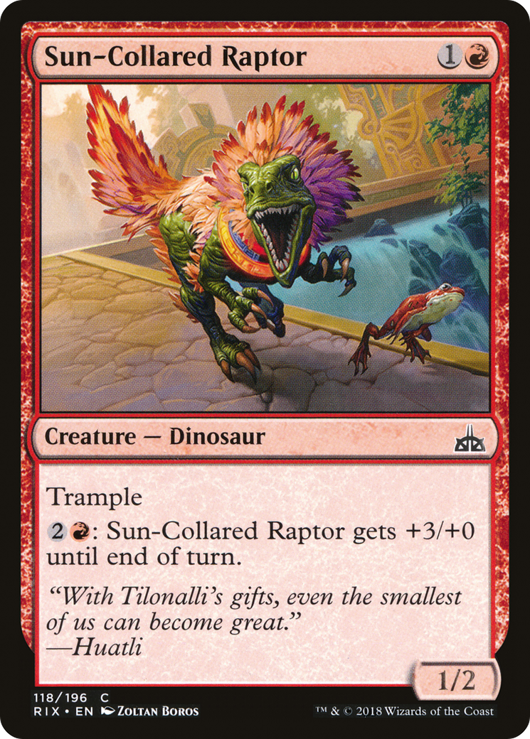 Sun-Collared Raptor (RIX-118) - Rivals of Ixalan - Premium MTG Single from Wizards of the Coast - Just $0.08! Shop now at Game Crave Tournament Store