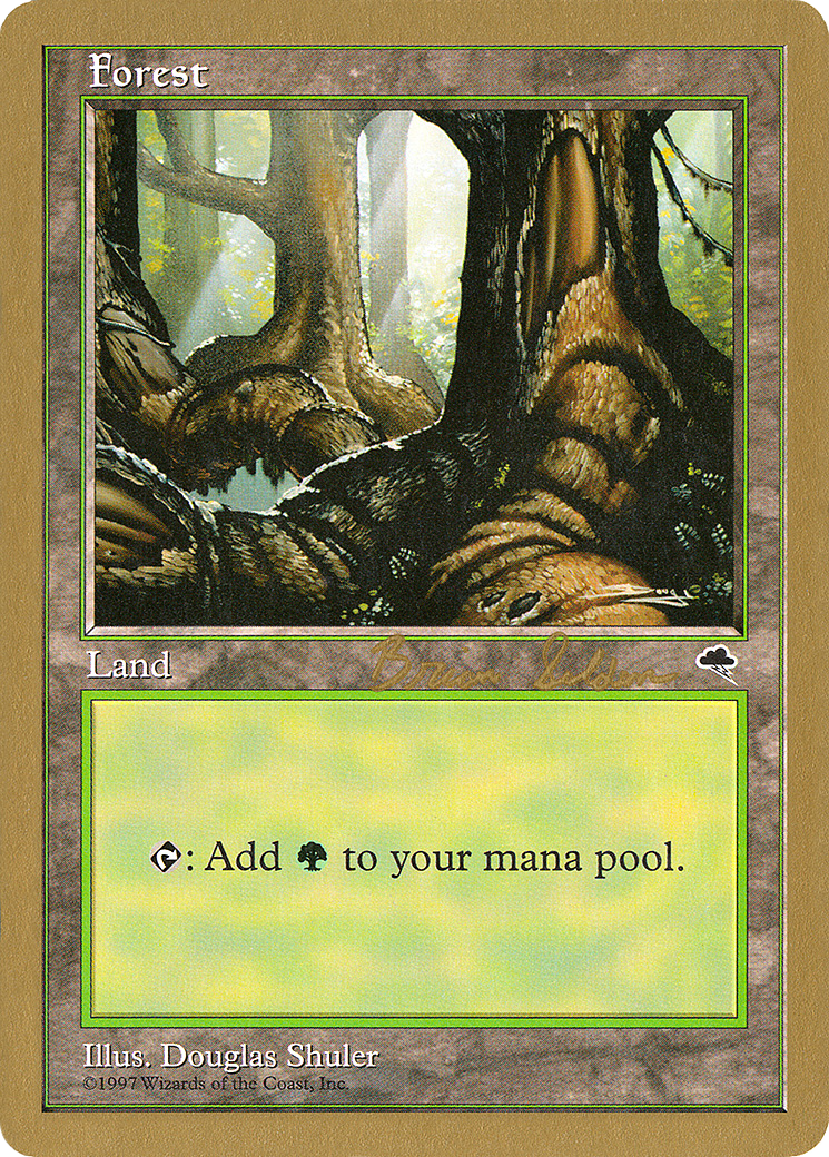 Forest (WC98-BS348) - World Championship Decks 1998 - Premium MTG Single from Wizards of the Coast - Just $0.14! Shop now at Game Crave Tournament Store