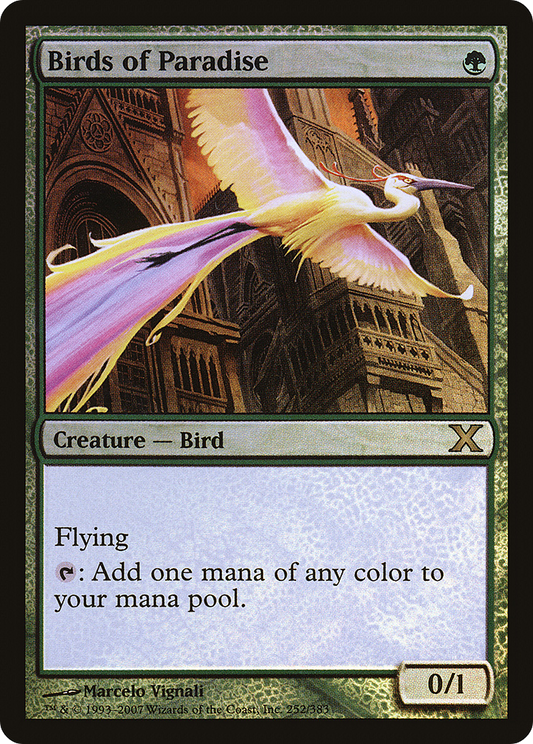 Birds of Paradise (10E-252★) - Tenth Edition Foil - Premium MTG Single from Wizards of the Coast - Just $22.11! Shop now at Game Crave Tournament Store