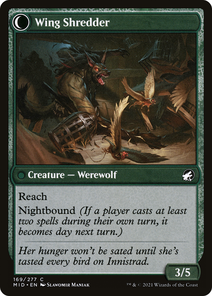 Bird Admirer // Wing Shredder (MID-169) - Innistrad: Midnight Hunt: (Double Faced Transform) Foil - Premium MTG Single from Wizards of the Coast - Just $0.25! Shop now at Game Crave Tournament Store