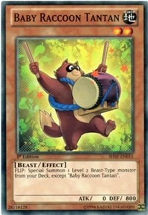 Baby Raccoon Tantan (SHSP-EN015) - Shadow Specters 1st Edition - Premium Yugioh Single from Konami - Just $0.25! Shop now at Game Crave Tournament Store