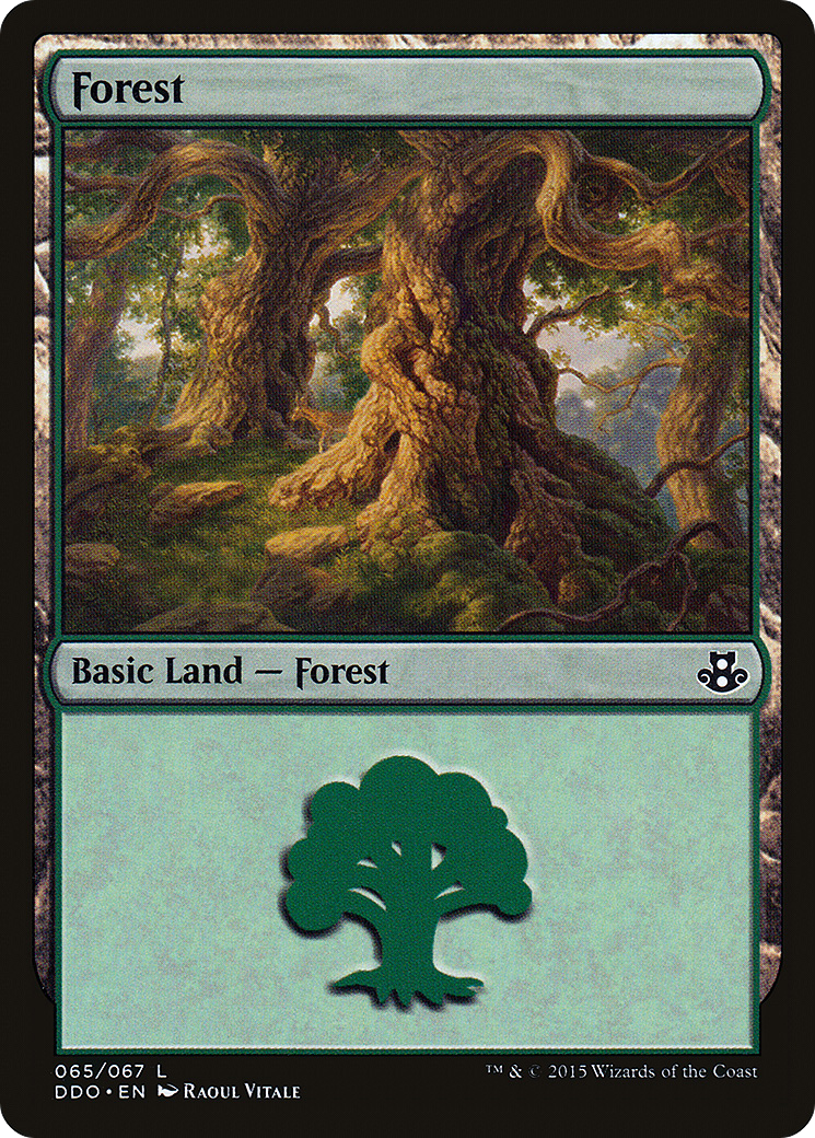 Forest (DDO-065) - Duel Decks: Elspeth vs. Kiora - Premium MTG Single from Wizards of the Coast - Just $0.08! Shop now at Game Crave Tournament Store