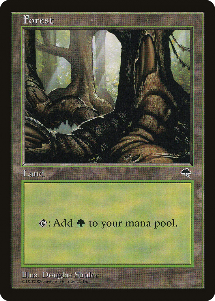 Forest (TMP-348) - Tempest - Premium MTG Single from Wizards of the Coast - Just $0.54! Shop now at Game Crave Tournament Store