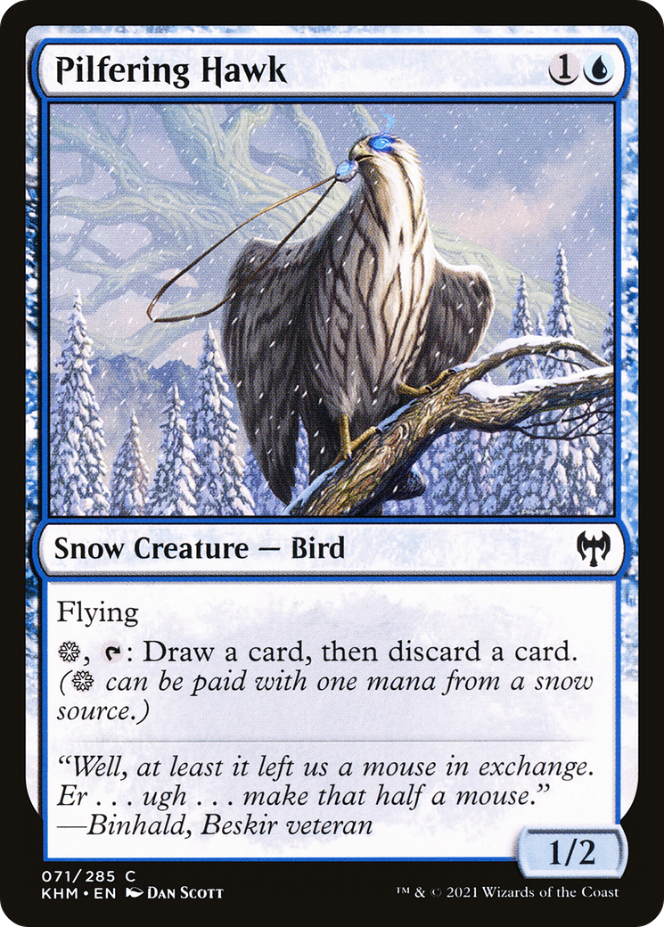 Pilfering Hawk (KHM-071) - Kaldheim: (snow) Foil - Premium MTG Single from Wizards of the Coast - Just $0.08! Shop now at Game Crave Tournament Store