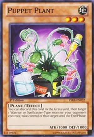Puppet Plant (YSKR-EN022) - Starter Deck: Kaiba Reloaded Unlimited - Premium Yugioh Single from Konami - Just $0.25! Shop now at Game Crave Tournament Store