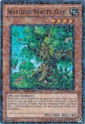 Naturia White Oak (DT04-EN081) - Duel Terminal 4 Limited - Premium Yugioh Single from Konami - Just $0.26! Shop now at Game Crave Tournament Store
