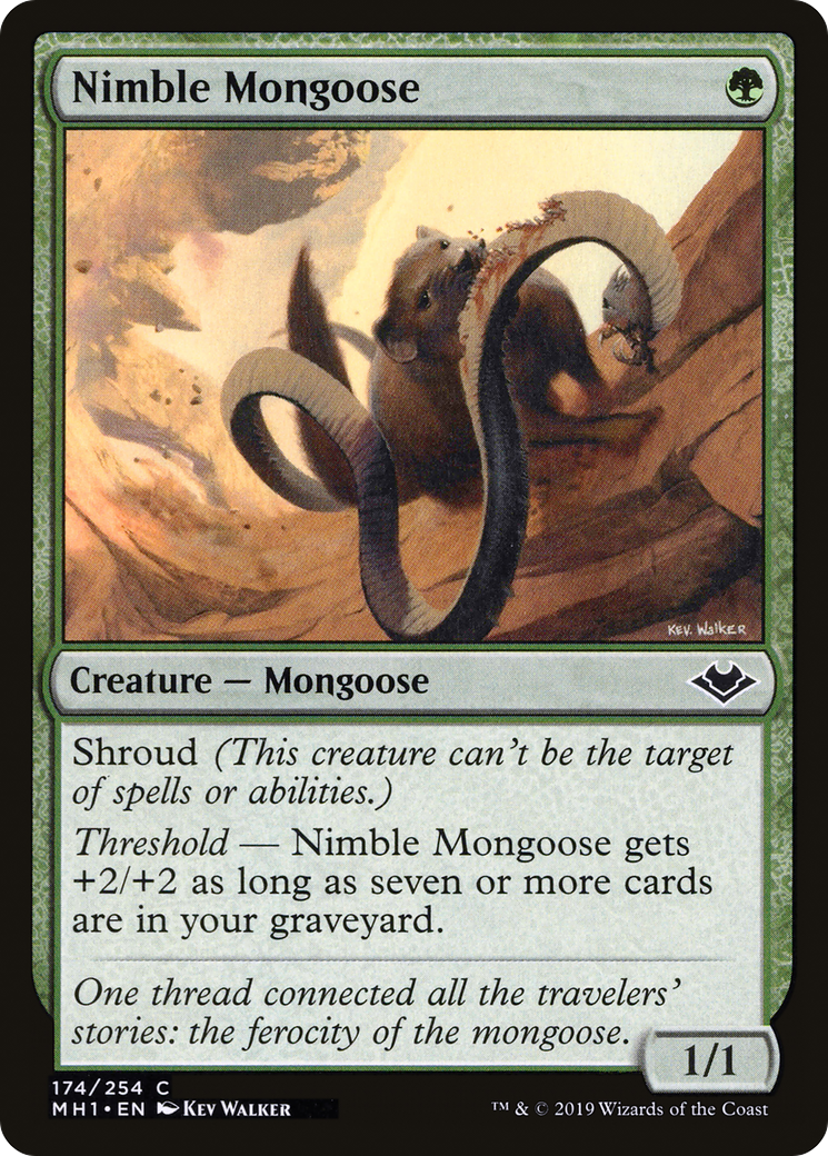Nimble Mongoose (MH1-174) - Modern Horizons Foil - Premium MTG Single from Wizards of the Coast - Just $0.09! Shop now at Game Crave Tournament Store