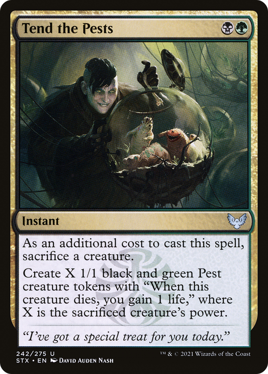 Tend the Pests (STX-242) - Strixhaven: School of Mages - Premium MTG Single from Wizards of the Coast - Just $0.25! Shop now at Game Crave Tournament Store