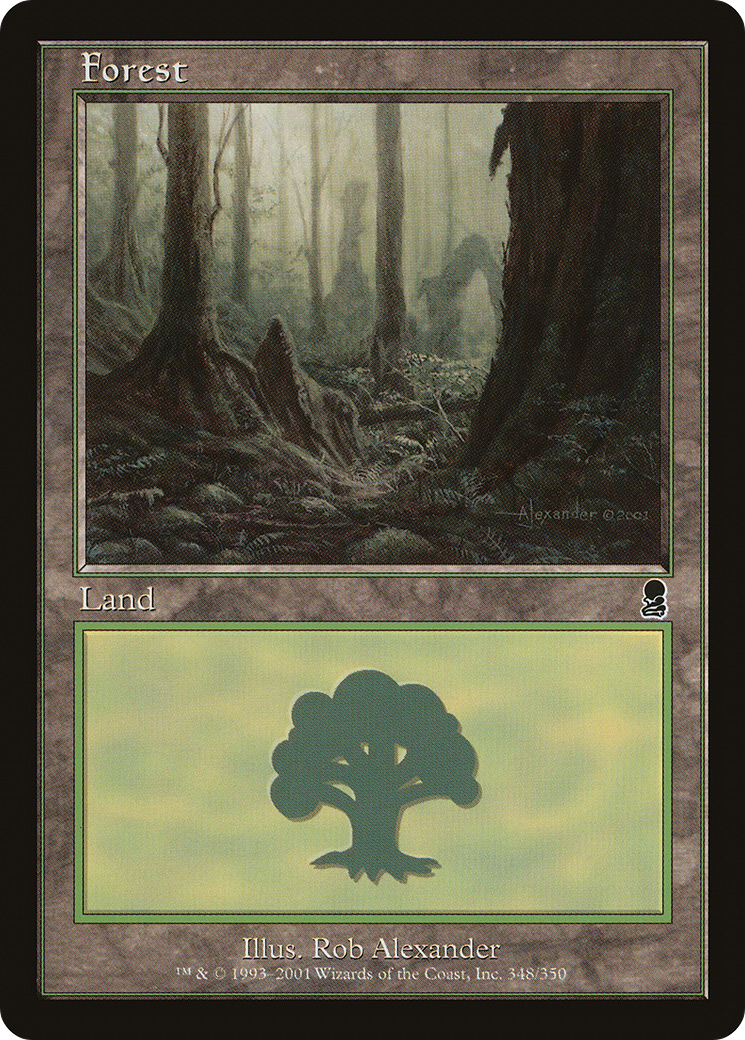Forest (ODY-348) - Odyssey - Premium MTG Single from Wizards of the Coast - Just $0.50! Shop now at Game Crave Tournament Store