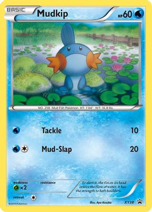 Mudkip XY38/211 - XY Black Star Promos Holofoil - Premium Pokemon Single from Nintendo - Just $1.31! Shop now at Game Crave Tournament Store