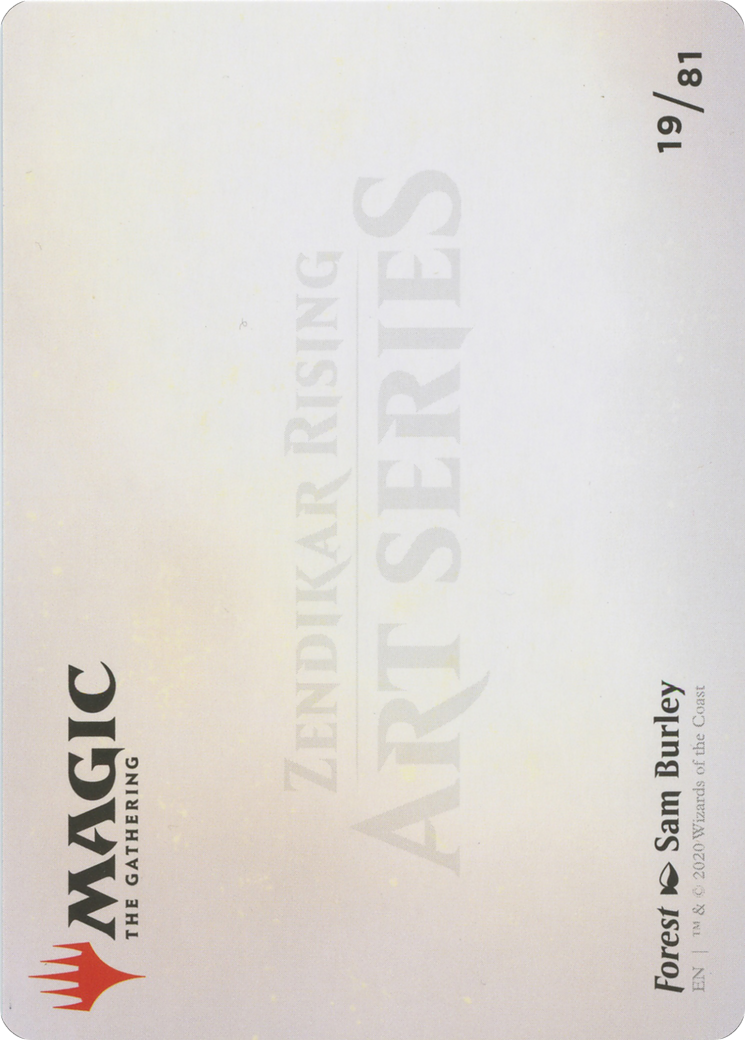 Forest // Forest (AZNR-019) - Zendikar Rising Art Series (Borderless) Foil - Premium MTG Single from Wizards of the Coast - Just $0! Shop now at Game Crave Tournament Store