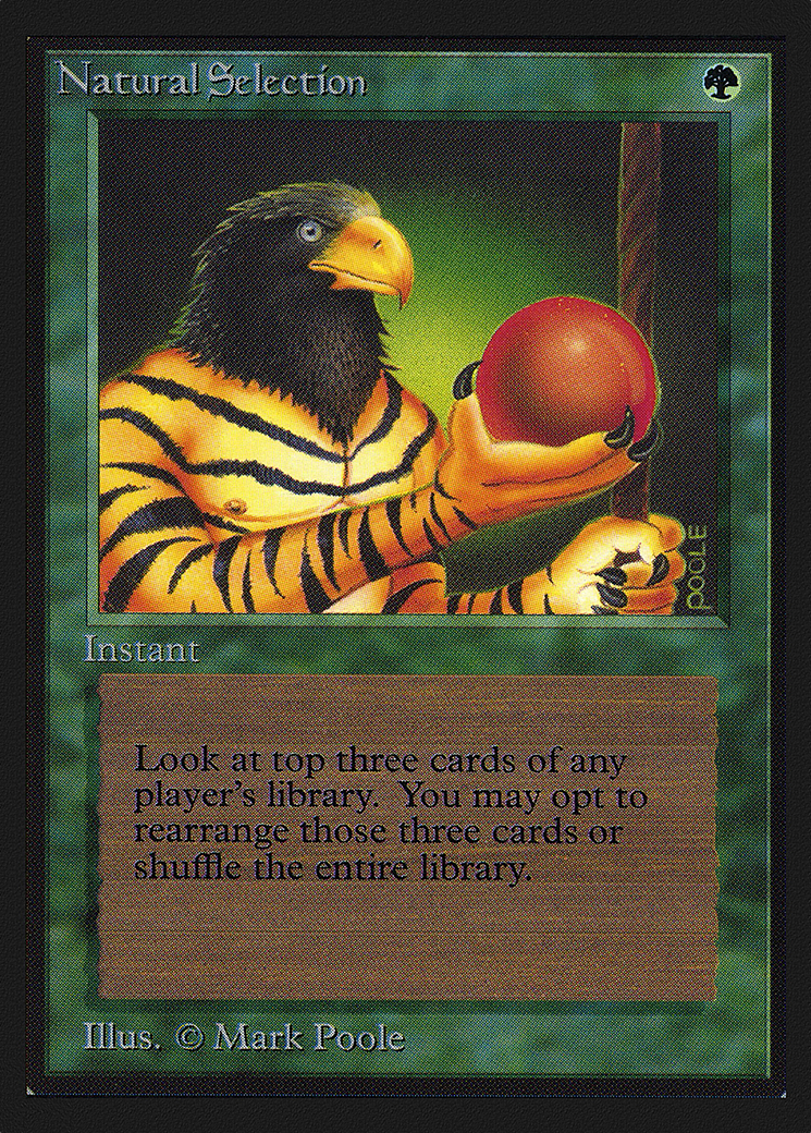 Natural Selection (CEI-213) - Intl. Collectors' Edition - Premium MTG Single from Wizards of the Coast - Just $16! Shop now at Game Crave Tournament Store