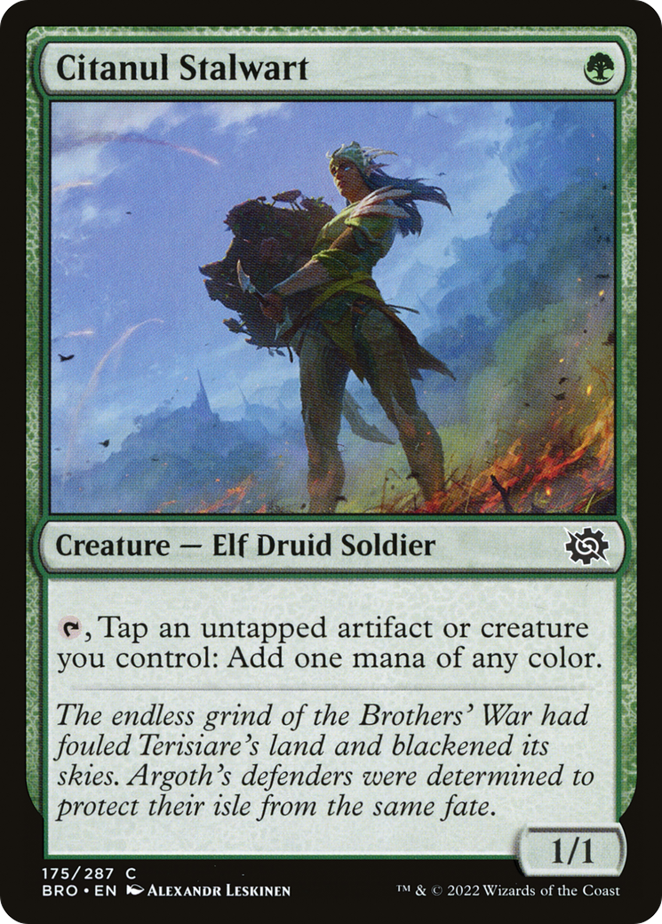 Citanul Stalwart (BRO-175) - The Brothers' War - Premium MTG Single from Wizards of the Coast - Just $0.08! Shop now at Game Crave Tournament Store