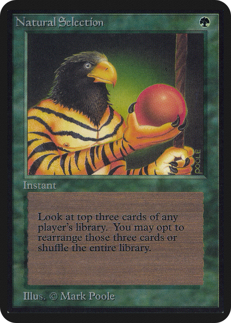Natural Selection (LEA-212) - Limited Edition Alpha - Premium MTG Single from Wizards of the Coast - Just $0! Shop now at Game Crave Tournament Store