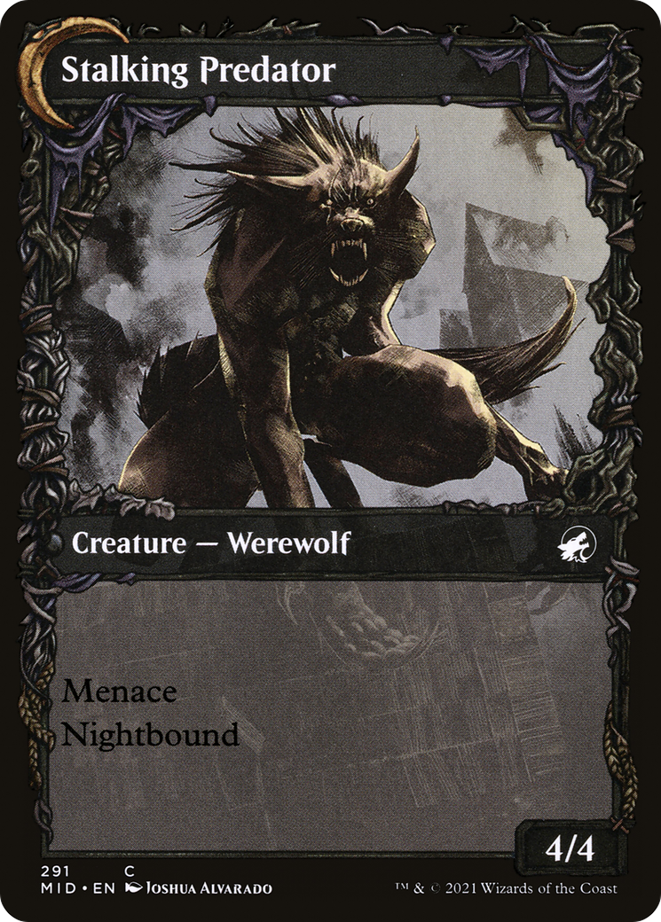 Shady Traveler // Stalking Predator (MID-291) - Innistrad: Midnight Hunt: (Showcase, Double Faced Transform) Foil - Premium MTG Single from Wizards of the Coast - Just $0.08! Shop now at Game Crave Tournament Store