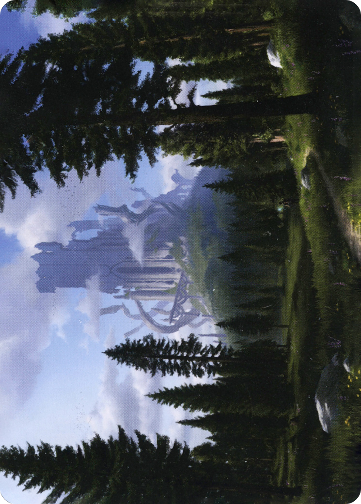 Forest // Forest (AAFR-061) - Adventures in the Forgotten Realms Art Series (Borderless) Foil - Premium MTG Single from Wizards of the Coast - Just $0! Shop now at Game Crave Tournament Store