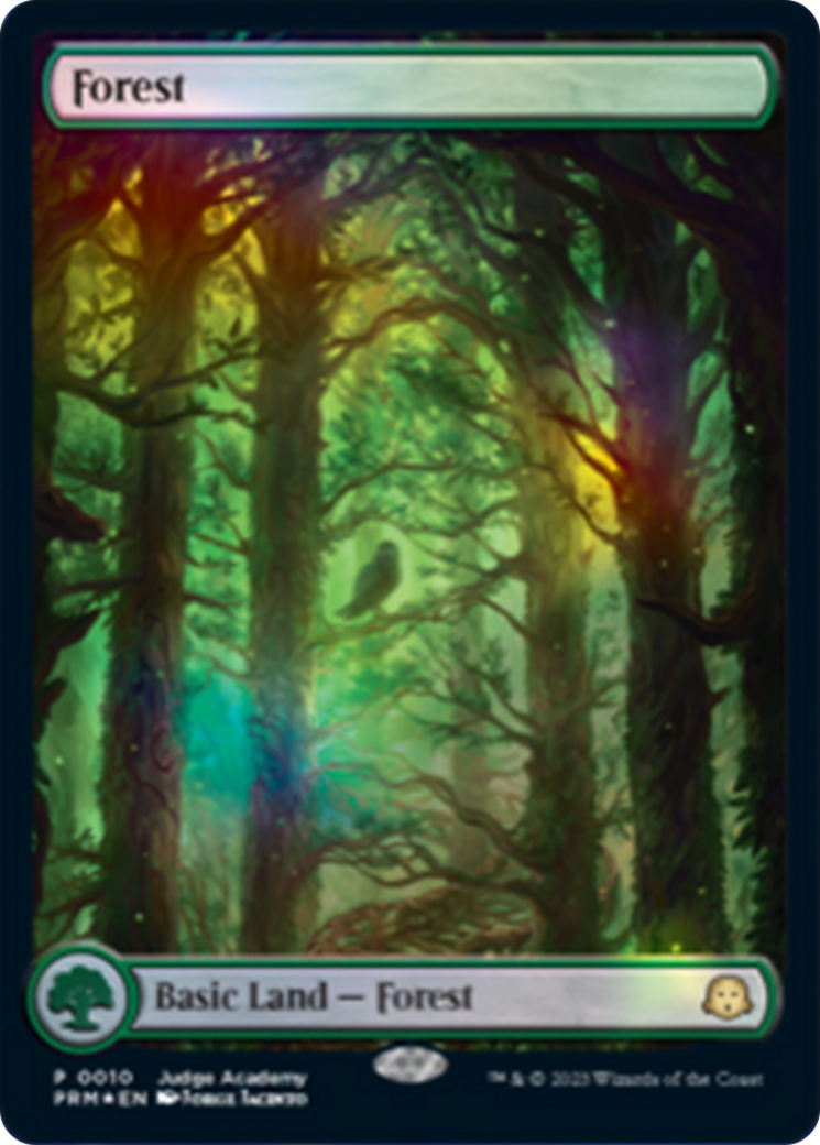 Forest (P23-010) - Judge Gift Cards 2023: (Full Art) Foil - Premium MTG Single from Wizards of the Coast - Just $7.12! Shop now at Game Crave Tournament Store