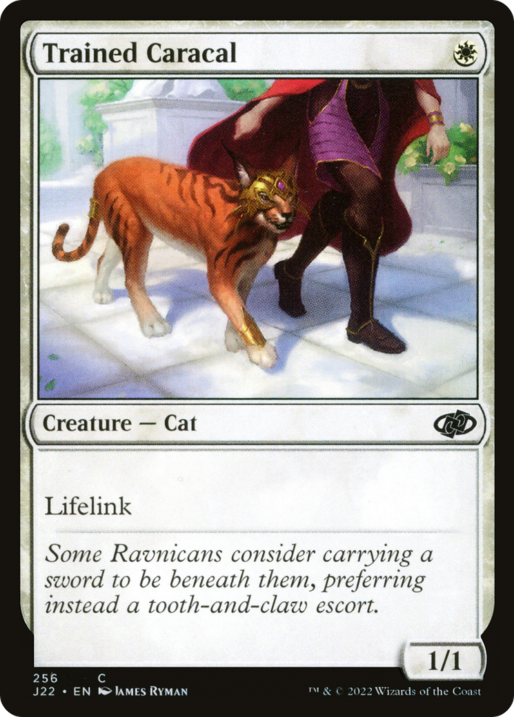 Trained Caracal (J22-256) - Jumpstart 2022 - Premium MTG Single from Wizards of the Coast - Just $0.08! Shop now at Game Crave Tournament Store