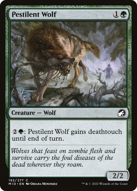Pestilent Wolf (MID-192) - Innistrad: Midnight Hunt - Premium MTG Single from Wizards of the Coast - Just $0.08! Shop now at Game Crave Tournament Store