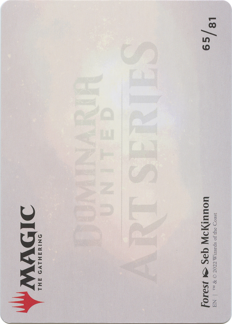 Forest // Forest (ADMU-065) - Dominaria United Art Series (Borderless) Foil - Premium MTG Single from Wizards of the Coast - Just $0! Shop now at Game Crave Tournament Store