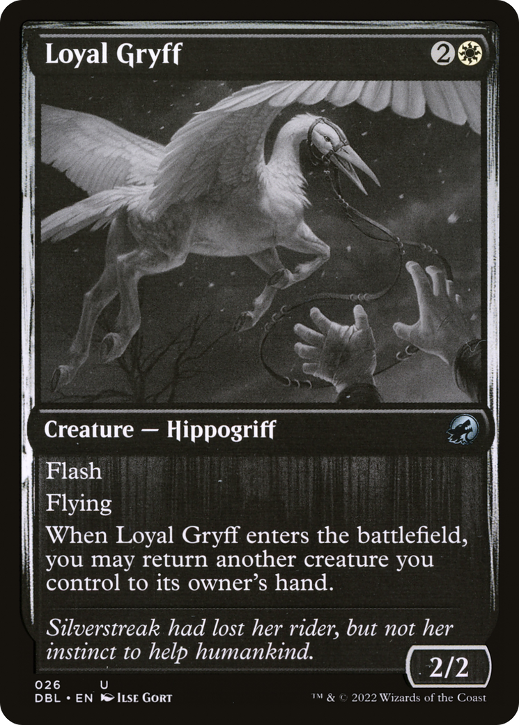 Loyal Gryff (DBL-026) - Innistrad: Double Feature Foil - Premium MTG Single from Wizards of the Coast - Just $0.08! Shop now at Game Crave Tournament Store