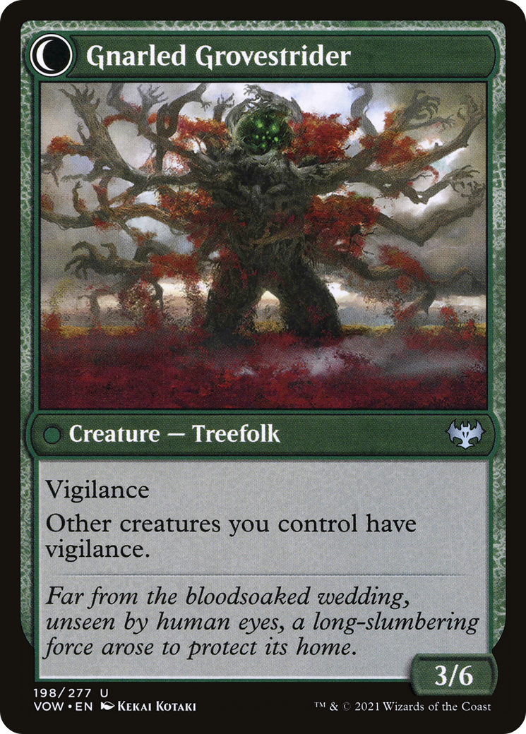 Dormant Grove // Gnarled Grovestrider (VOW-198) - Innistrad: Crimson Vow: (Double Faced Transform) Foil - Premium MTG Single from Wizards of the Coast - Just $0.25! Shop now at Game Crave Tournament Store