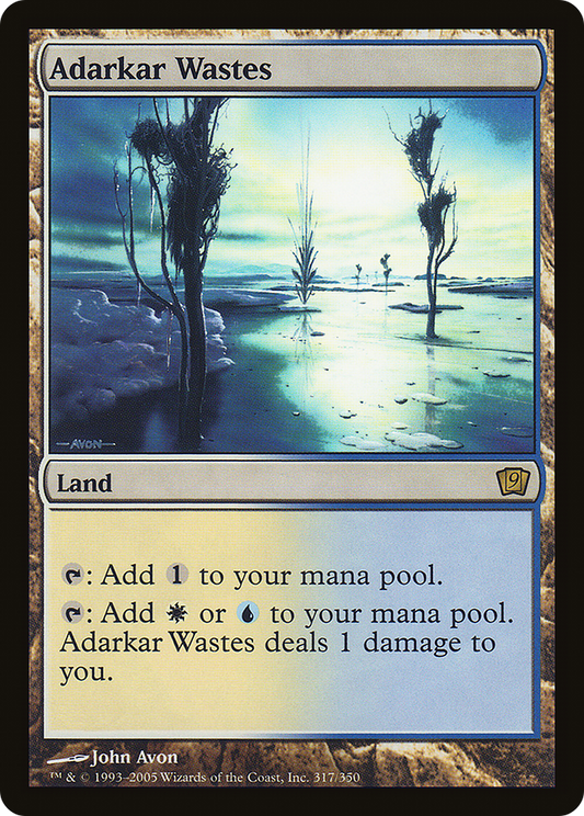 Adarkar Wastes (9ED-317★) - Ninth Edition Foil - Premium MTG Single from Wizards of the Coast - Just $11.46! Shop now at Game Crave Tournament Store